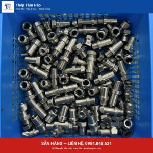 Y lọc inox 304 nối ren — Thép Hưng Yên Tâm Hào